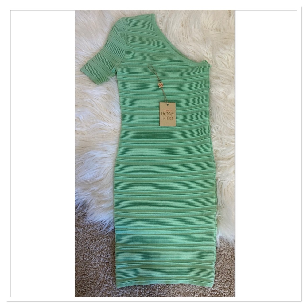 NWT Torn by Ronny Kobo Kat Dress Mint Green Size Extra Small